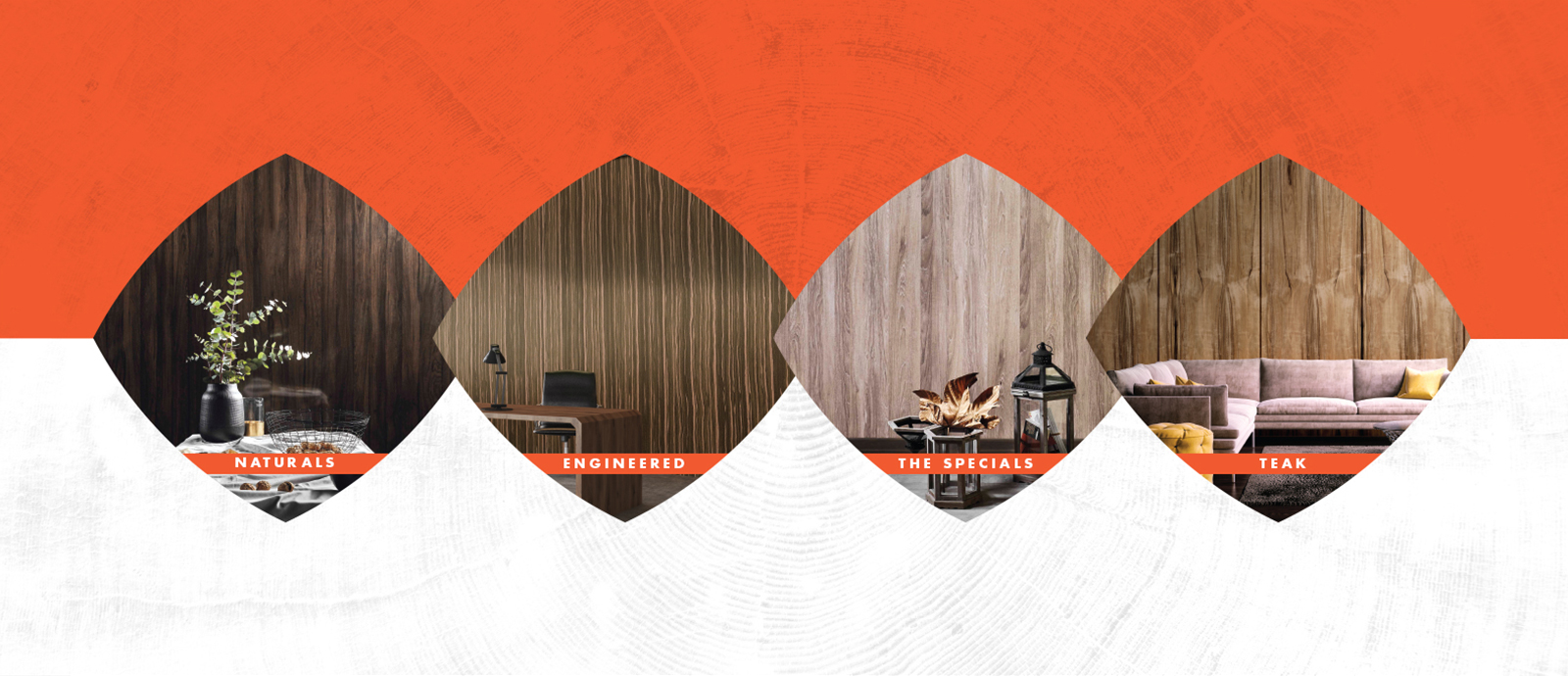 Our Offering Our Offering